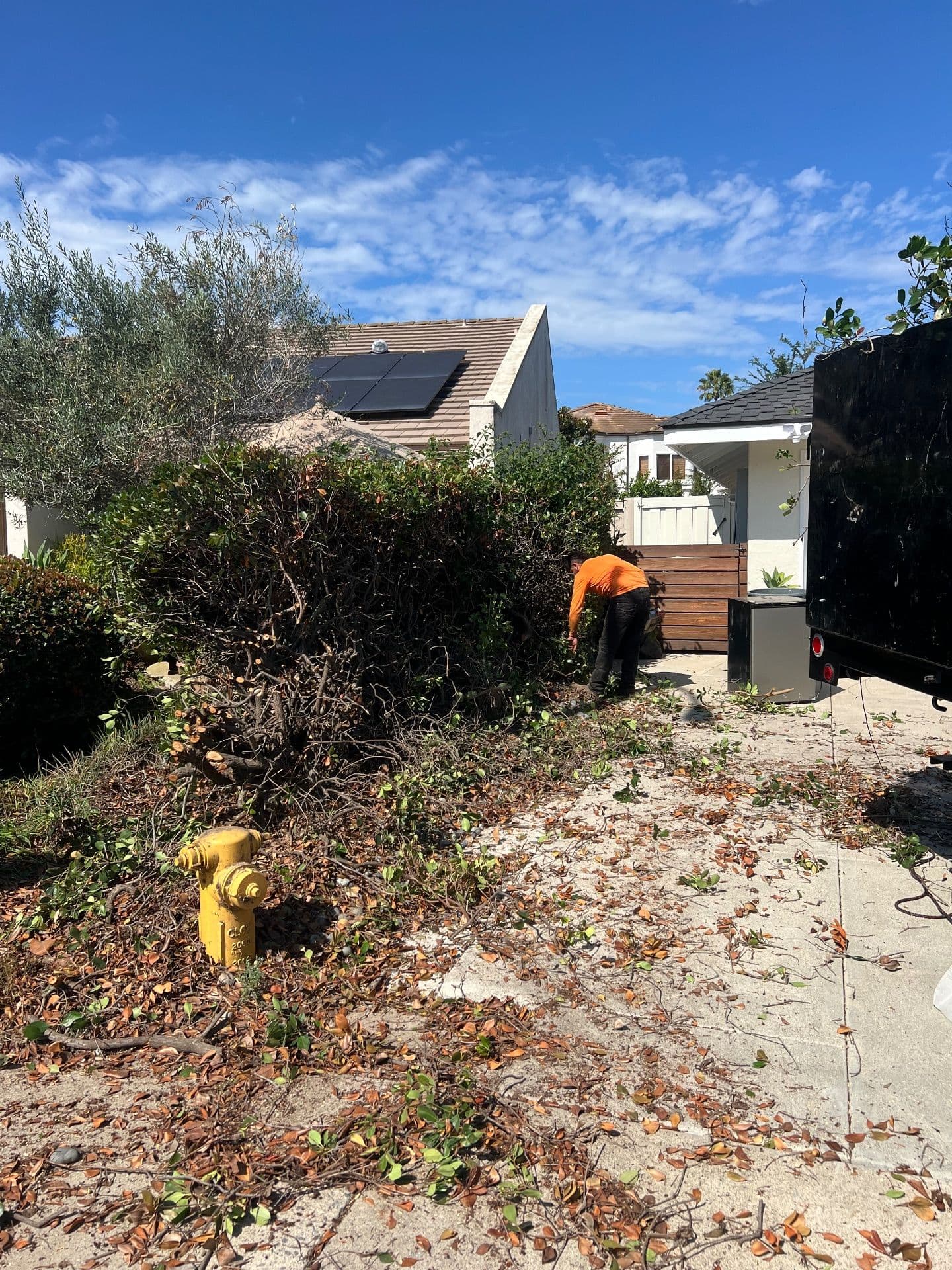 A Major Yard Makeover in Rancho Santa Fe