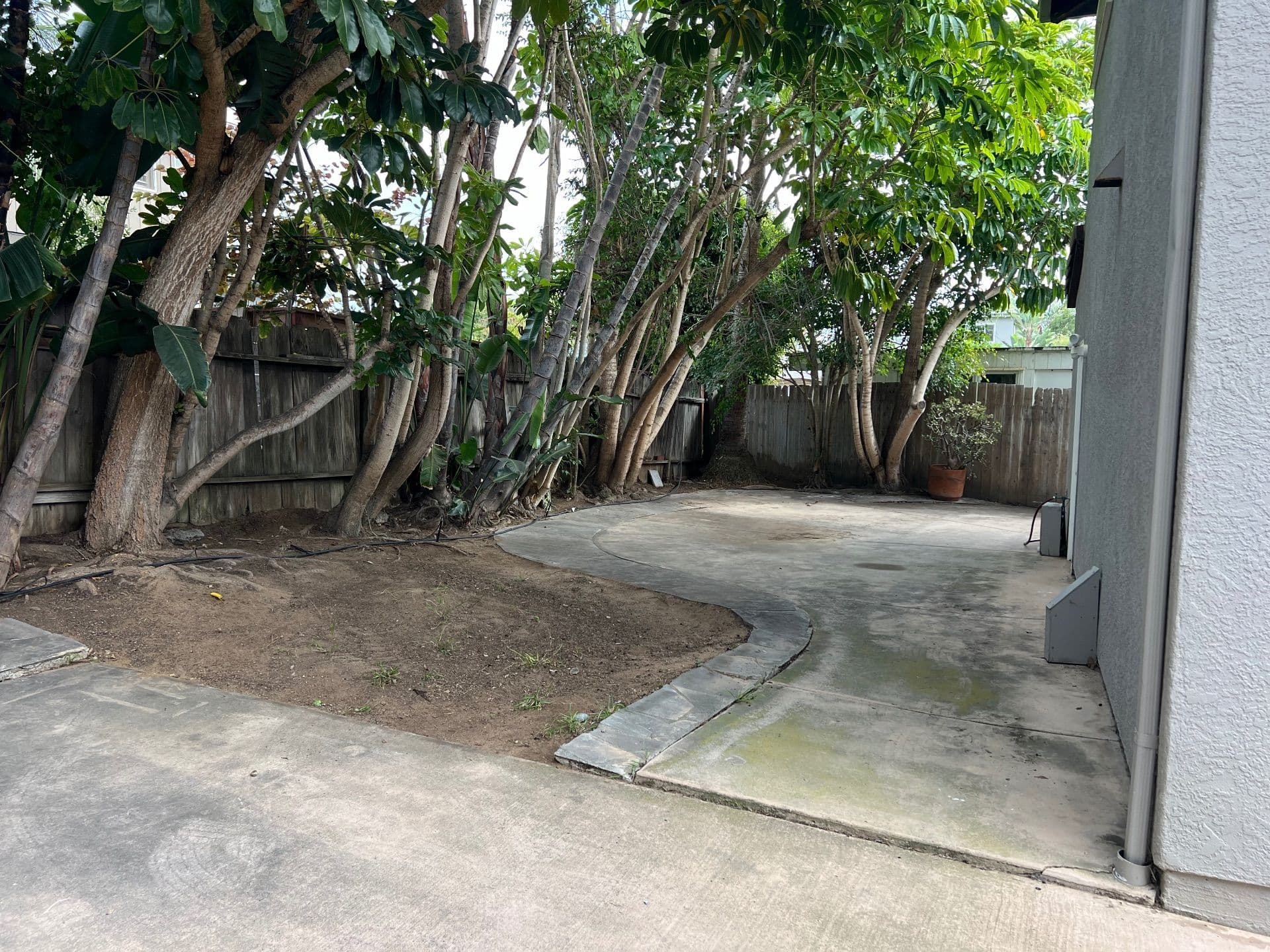 Project Yard Cleanup and Tree Trimming in Encinitas image