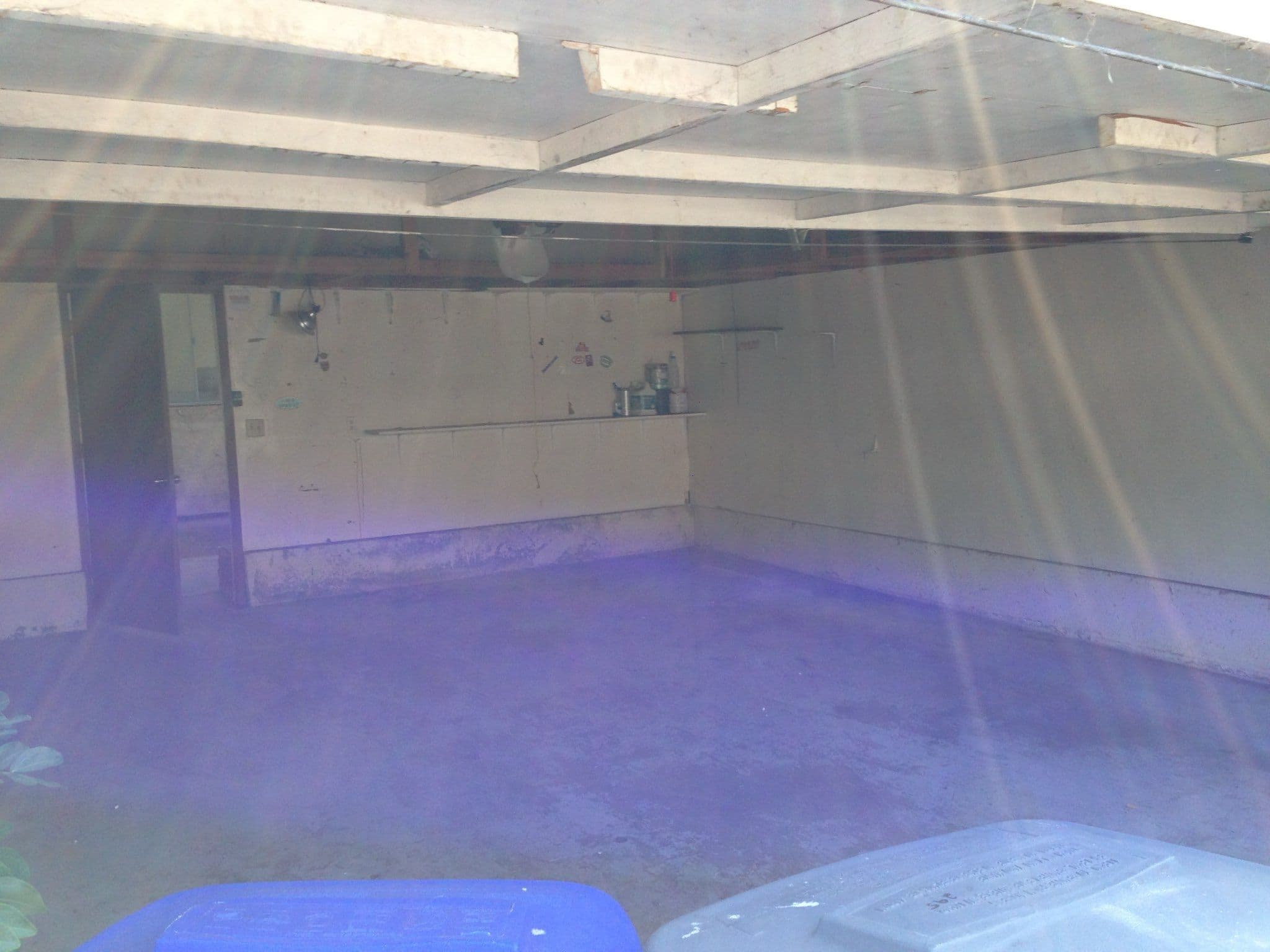 Project Turning Chaos Into Cleanliness - A Garage Clean Out Story image