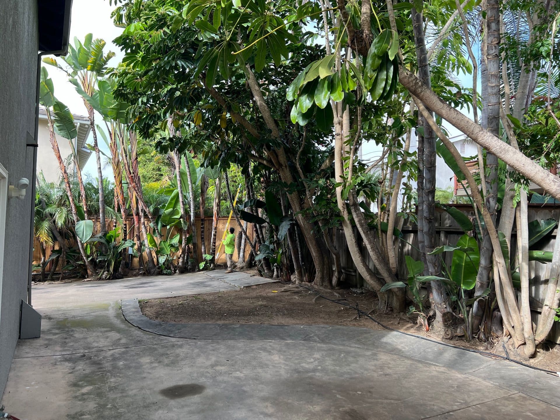 Gallery photos for Yard Cleanup and Tree Trimming in Encinitas: Image #1