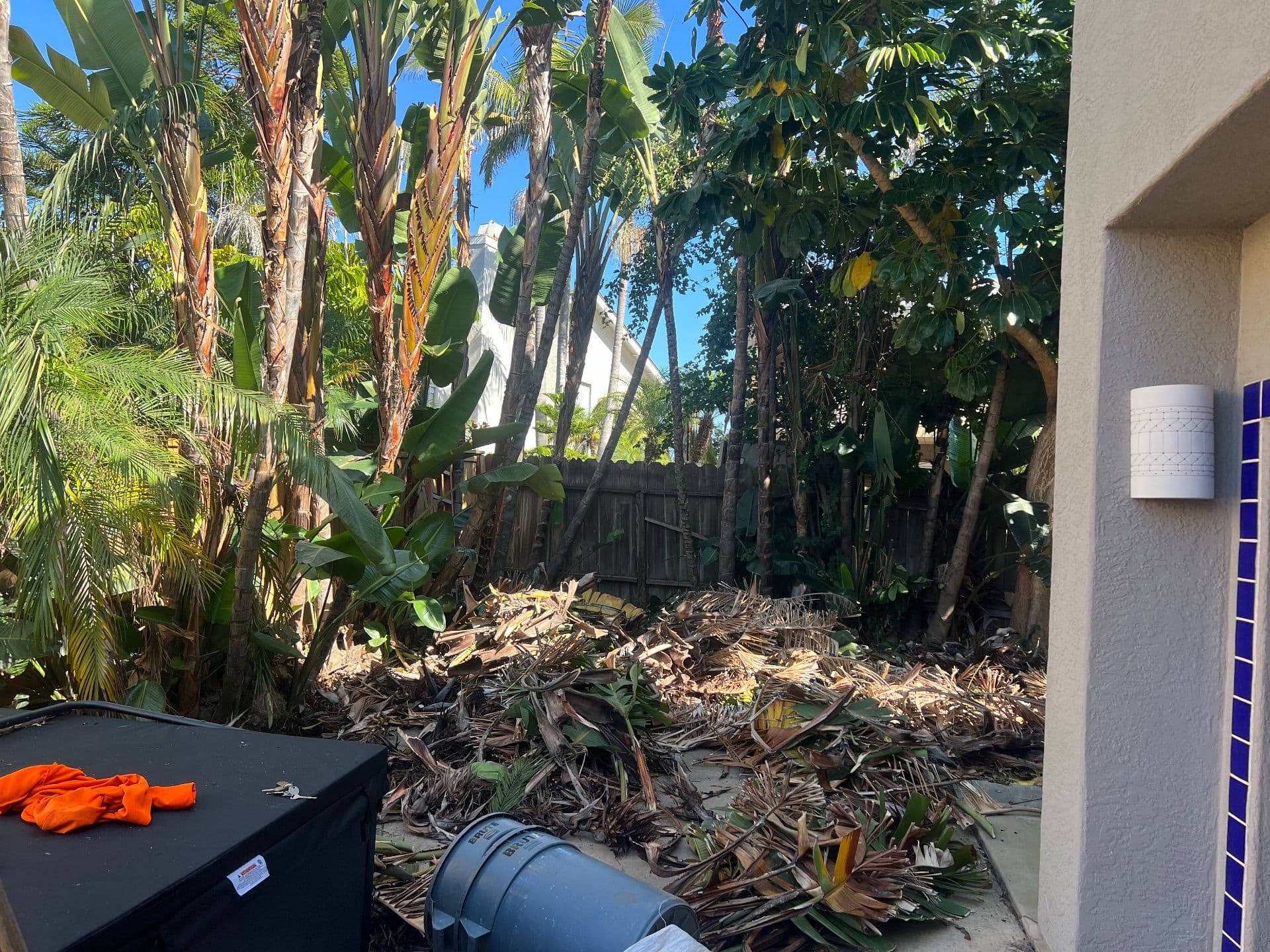 Gallery photos for Yard Cleanup and Tree Trimming in Encinitas: Image #2