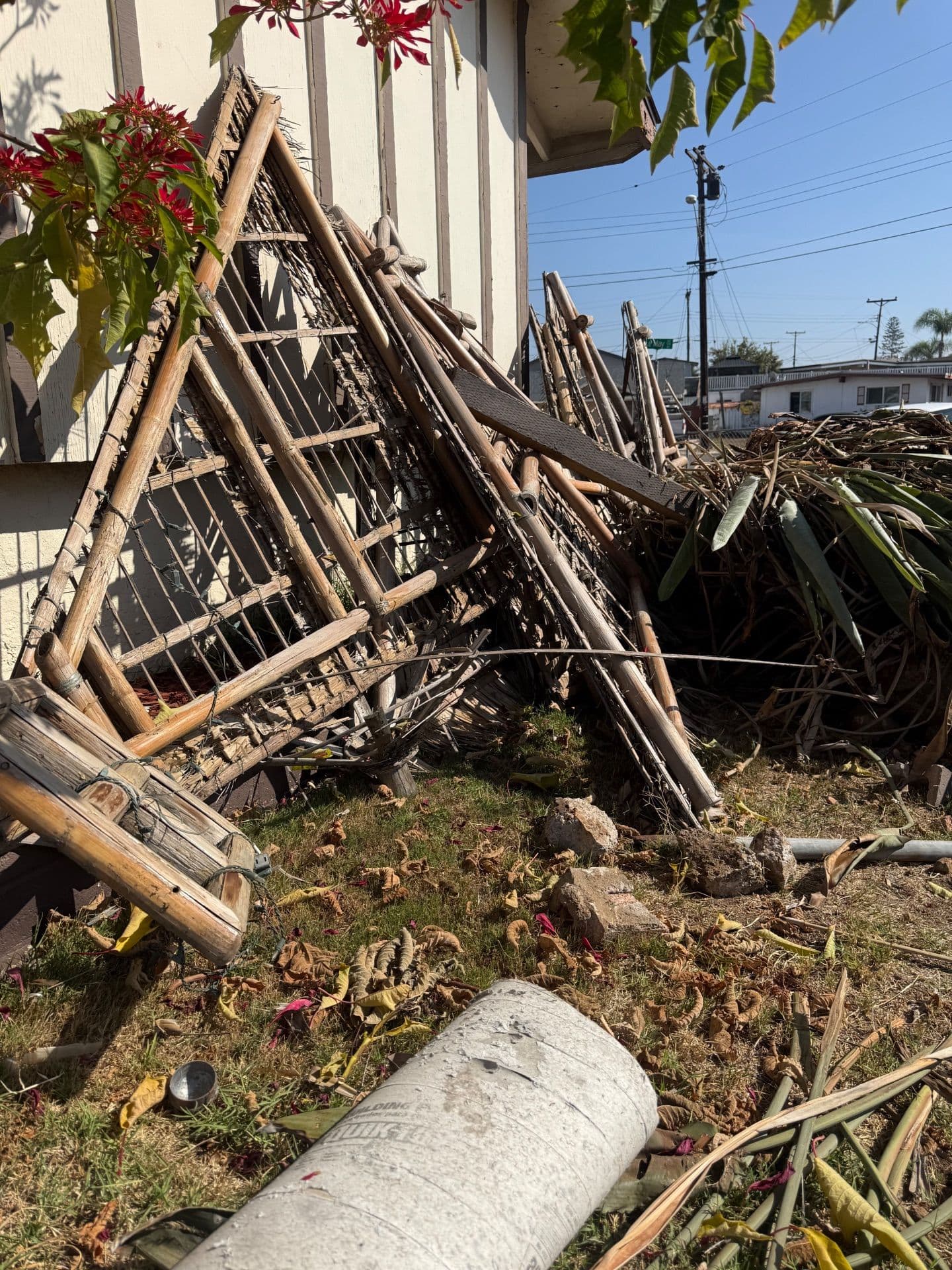 Thorough Clean-Up and Debris Removal in Chula Vista image