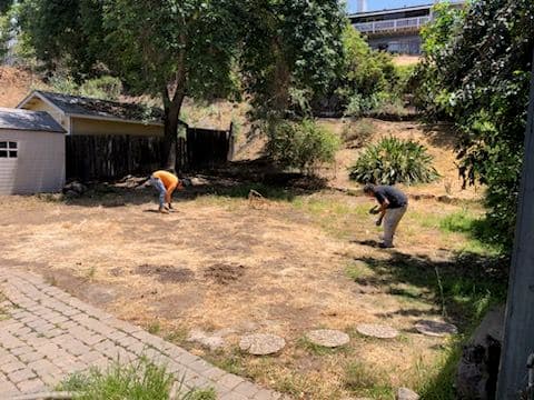 Gallery photos for Effortless Yard Clean-Up with Happy Hauling: Image #2